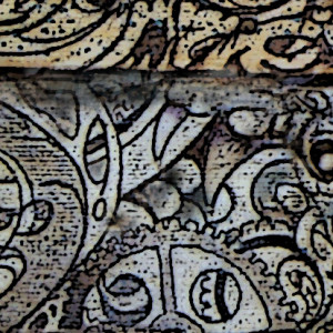 Sailfish detail III
